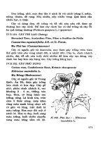 Cây Cảnh - Hoa Việt Nam Phần 9 potx