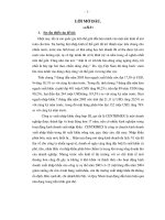 đẩy mạnh hoạt động kinh doanh xuất nhập khẩu tại công ty centrimex