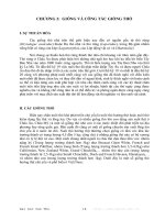 GIÁO TRÌNH CHĂN NUÔI THỎ - CHƯƠNG 2 docx