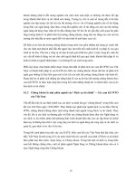 TỰ DO HÓA THỊ TRƯỜNG CHỨNG KHOÁN VIỆT NAM - CÁC VẤN ĐỀ CHỦ YẾU ĐỐI VỚI CƠ QUAN QUẢN LÝ NHÀ NƯỚC VỀ CHỨNG KHOÁN VÀ CÁC CÔNG TY CHỨNG KHOÁN TRONG NƯỚC - Phần 3 pptx