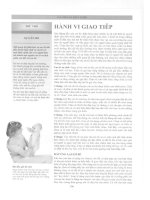 Chăm Sóc Nuôi Dạy Trẻ - Dr.Miriam Stoppart (Đã Dịch) Phần 7 ppsx