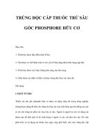 TRÚNG ĐỘC CẤP THUỐC TRỪ SÂU GỐC PHOSPHORE HỮU CƠ potx