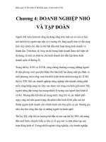 Khái quát về nền kinh tế Mỹ - Chương 4: DOANH NGHIỆP NHỎ VÀ TẬP ĐOÀN ppt