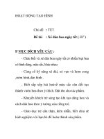 Giáo án mầm non chương trình đổi mới: Xé dán hoa ngày tết ( ĐT ) potx