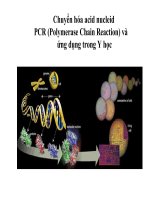 Chuyển hóa acid Nucleid PCR và ứng dụng trong y học potx