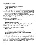 Cây Cảnh - Hoa Việt Nam Phần 6 pps