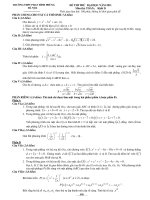 ĐỀ THI THỬ ĐẠI HỌC NĂM 2011 Môn thi: TOÁN; Khối D pdf