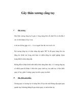 Gãy thân xương cẳng tay pot