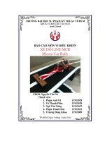 Báo cáo môn vi điều khiển xe dò Line Micom Car Rally