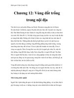 Khái quát về địa lý nước Mỹ - Chương 12: Vùng đất trống trong nội địa pptx