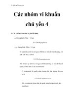 Vi sinh vật - Các nhóm vi khuẩn chủ yếu 4 ppsx