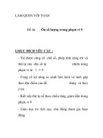 Giáo án mầm non chương trình đổi mới: Đề tài : Ôn số lượng trong phạm vi 9 pot