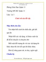 Giáo án mầm non chương trình đổi mới: Chơi với các đồ vật docx
