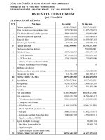 công ty cổ phần xi măng sông đà báo cáo tài chính tóm tắt quý 1 năm 2010