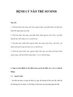 BỆNH LÝ NÃO TRẺ SƠ SINH docx