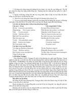 GIÁO TRÌNH QUẢN LÝ ĐẤT LÂM NGHIỆP part 8 potx