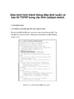 Giáo trình hình thành thông điệp định tuyến và báo lỗi TCPIP trong cấu hình catalyst switch p1 docx