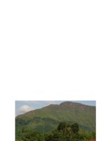 GIÁO TRÌNH QUẢN LÝ ĐẤT LÂM NGHIỆP part 10 pdf