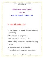 Giáo án mầm non chương trình đổi mới: Đề tài : Những con vật bé thích pps