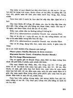 Cây Cảnh - Hoa Việt Nam Phần 5 potx