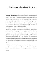 TỔNG QUAN VỀ GIẢI PHẪU HỌC ppsx