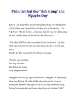 Phân tích bài thơ “Ánh trăng” của Nguyễn Duy pptx