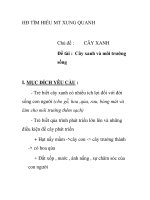 Giáo án mầm non chương trình đổi mới: Chủ đề : CÂY XANH - Đề tài : Cây xanh và môi trường sống doc