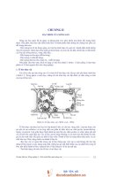 Giáo trình -Bảo quản nông sản -chương 2 ppt