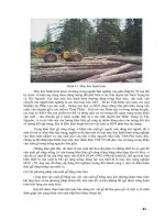 Giáo trình : KHAI THÁC VÀ VẬN CHUYỂN LÂM SẢN part 5 pps