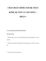 CHẨN ĐOÁN HÌNH ẢNH HỆ THẦN KINH, SỌ NÃO VÀ CỘT SỐNG – PHẦN 1 pptx