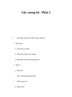 Gãy xương hở - Phần 2 doc