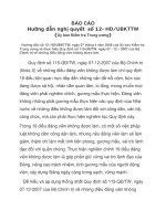 BÁO CÁO Hướng dẫn nghị quyết số 12- HD/UBKTTW phần 1 doc