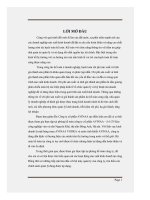 Chi phí sản xuất tại công ty cổ phần AVINAA