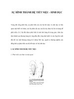 SỰ HÌNH THÀNH HỆ TIẾT NIỆU - SINH DỤC ppt