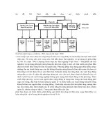 Giáo trình : PHƯƠNG PHÁP TIẾP CẬN CÓ SỰ THAM GIA TRONG PHÁT TRIỂN LÂM NGHIỆP XÃ HỘI part 6 potx
