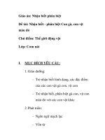 Giáo án mầm non chương trình đổi mới: Nhận biết - phân biệt Con gà, con vịt màu đỏ pps