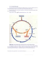 Giáo trình sinh hóa động vật phần 7 pot