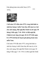 Giải phóng hoàn toàn miền Nam (19731975) pdf