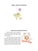 Khuyến nông chăn nuôi bò sữa - Phần 3: Bầu vú và tiết sữa ppsx