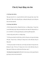 Chu kỳ hoạt động của tim ppsx