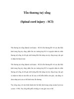 Tổn thương tuỷ sống (Spinal cord injury - SCI) ppsx