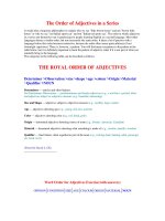 The Order of Adjectives in a Series docx