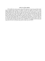 Mối quan hệ giữa lạm phát và sức mạnh tài chính ngân hàng trung ương – mở rộng mô hình ở việt nam