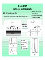 CHUYÊN ĐỀ: SẮC KÝ (CƠ SỞ LÝ THUYẾT VÀ ỨNG DỤNG) part 5 potx