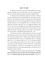 Vai trò gây bệnh viêm màng não mủ cho trẻ dưới 5 tuổi của haemophilus influenzae typ b và các phương pháp chẩn đoán phòng xét nghiệm