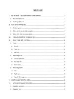 ý tưởng kinh doanh dự án kinh doanh hoa fireflies