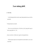 Lao màng phổi pot