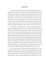 Nghiên cứu kết quả điều trị sỏi niệu quản 13 dưới bằng phương pháp tán sỏi ngoài cơ thể trên máy HK ESWL v tại bệnh viện việt nam  thụy điển uông bí