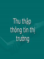 Chương 5: Thu thập thông tin thị trường pdf