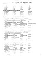 THE SIMPLE PAST OR THE PAST CONTINUOUS pot